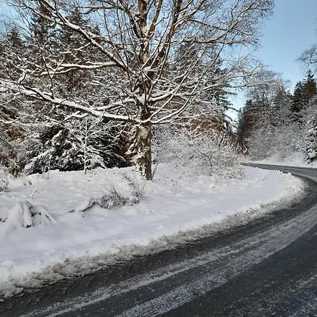 Haus Annemiek * Winterberg